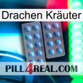 Drachen Kräuter viagra4